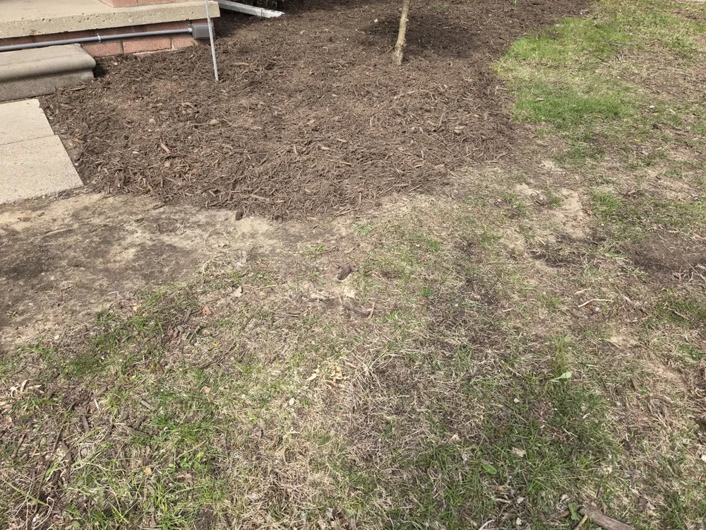 Affordable lawn care service in MONROE, MI - Twelve Rivers Land Management