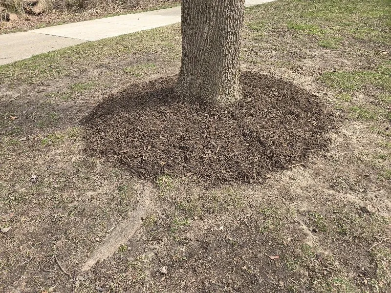 Affordable yard maintenance in MONROE, MI - Twelve Rivers Land Management