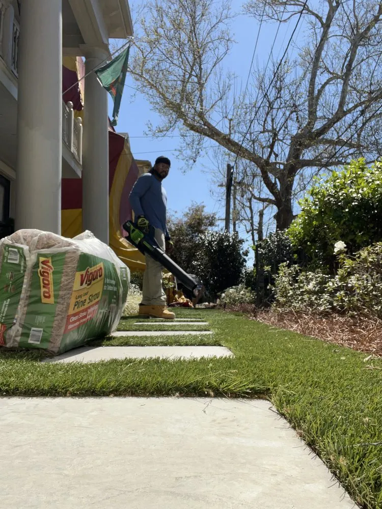 Expert yard cleanup service experts serving Chalmette, LA - Twenty and Done