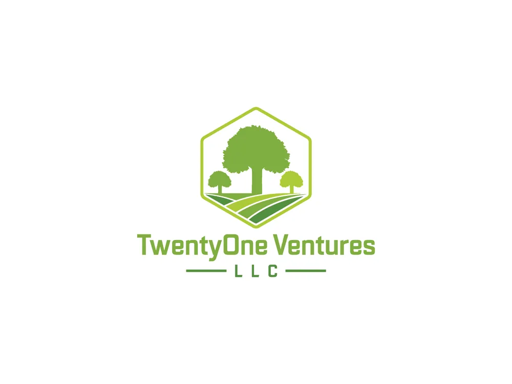 Affordable yard cleanup service for year-round maintenance across Cedar Mountain, NC - TwentyOne Ventures