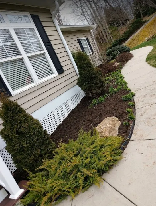 Reliable yard cleanup service experts serving Cedar Mountain, NC - TwentyOne Ventures