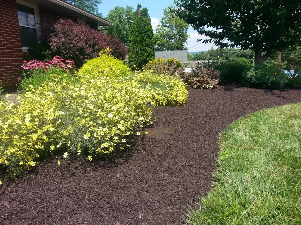 Reliable yard cleanup service in Halifax, PA by Twentytree
