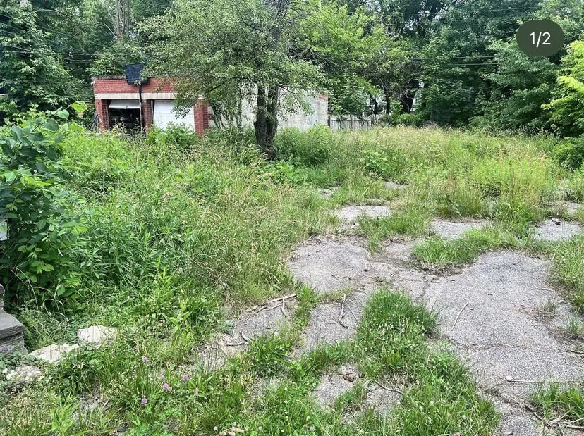 Professional yard maintenance experts serving Cleveland, OH - Twest Landscaping Service