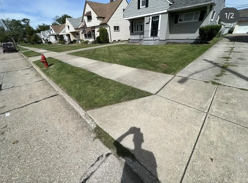 Reliable yard cleanup service in Cleveland, OH - Twest Landscaping Service