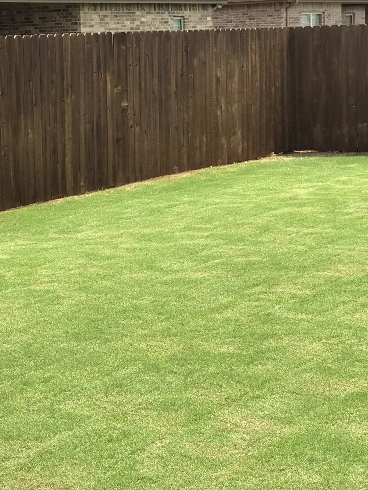 Reliable landscape installation for outdoor upgrades across Abilene, TX - Twg Lawn Mowing