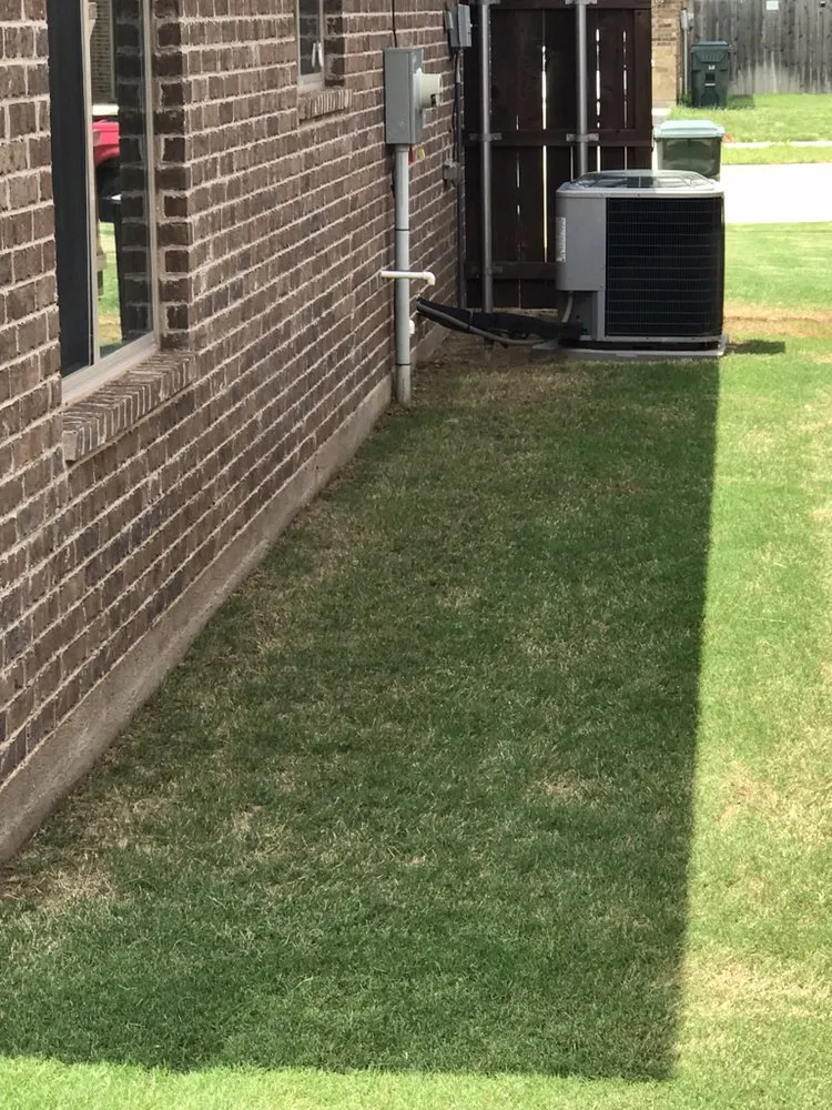 Top-rated lawn mowing service for homes across Abilene, TX - Twg Lawn Mowing