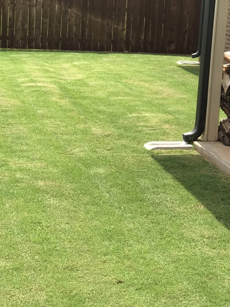 Custom lawn mowing service near you across Abilene, TX - Twg Lawn Mowing