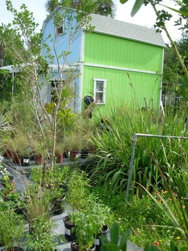 Affordable residential landscaping for beautiful yards across St. Petersburg, FL - Twigs & Leaves