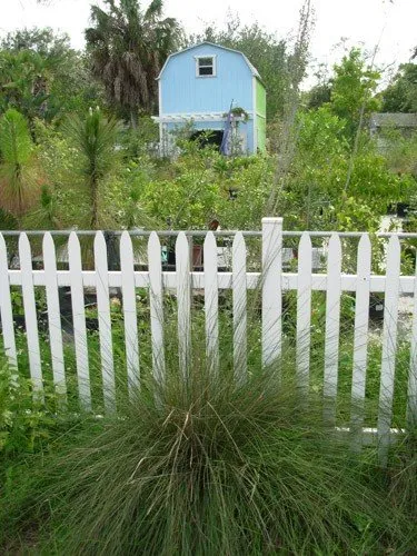 Expert outdoor landscaping in St. Petersburg, FL by Twigs & Leaves