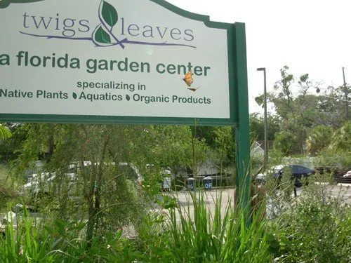 Trusted outdoor landscaping for outdoor upgrades across St. Petersburg, FL - Twigs & Leaves