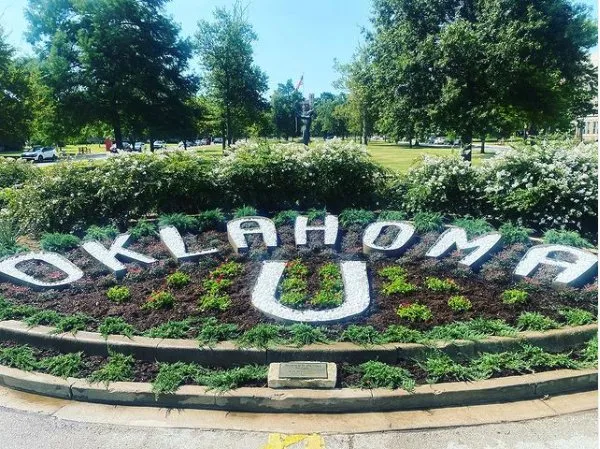 Professional yard cleanup service experts serving Norman, OK - Twigs Landscaping