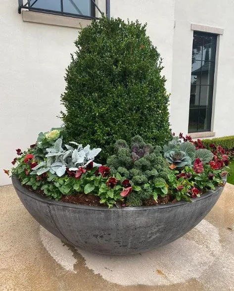 Affordable landscaping services experts serving Norman, OK - Twigs Landscaping