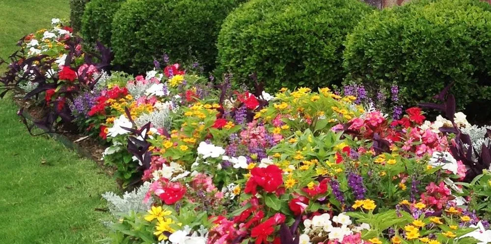 Top-rated yard maintenance experts serving Norman, OK - Twigs Landscaping