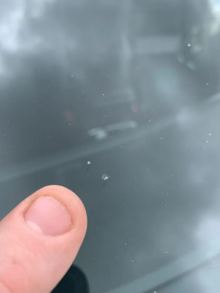 Top-rated garden landscaping for year-round maintenance in Norman, OK by Twigs Landscaping