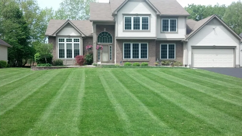 Trusted landscape design in Rochester, NY - Twigs Lawn Care