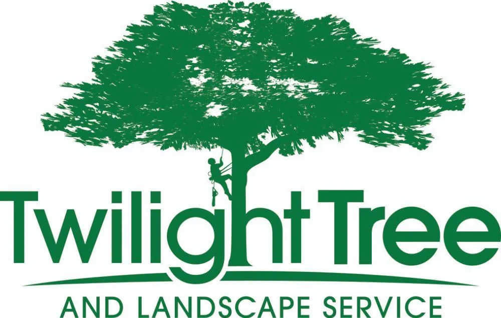 Trusted yard maintenance experts serving Glendale, AZ - Twilight Tree and Landscape