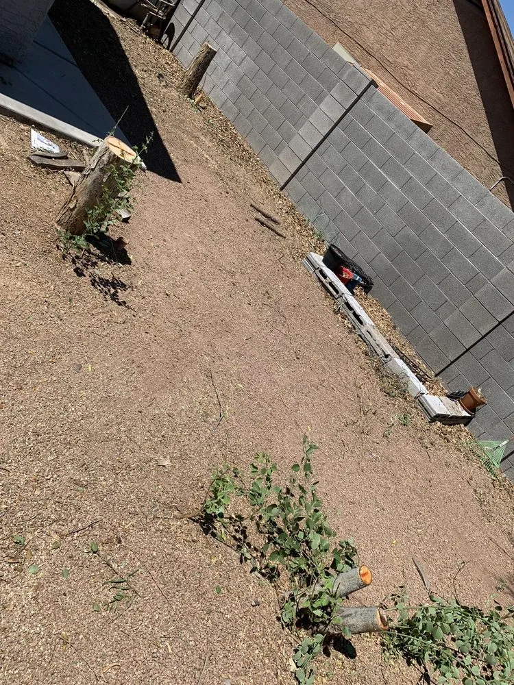 Custom yard maintenance with custom design across Glendale, AZ - Twilight Tree and Landscape