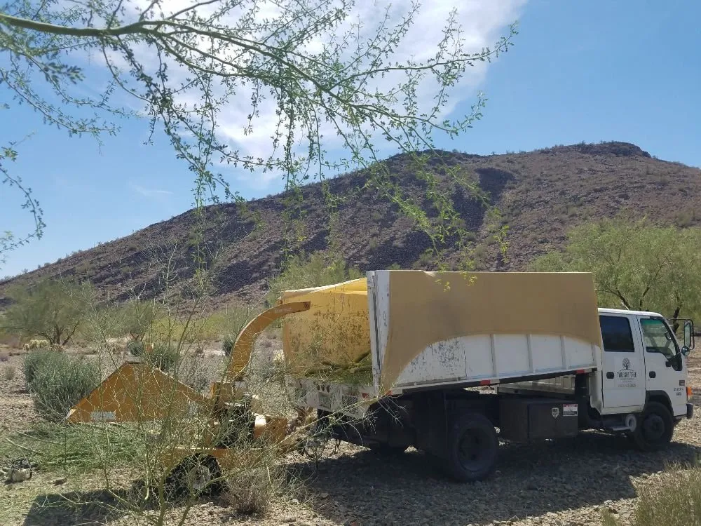 Expert lawn mowing service in Glendale, AZ by Twilight Tree and Landscape