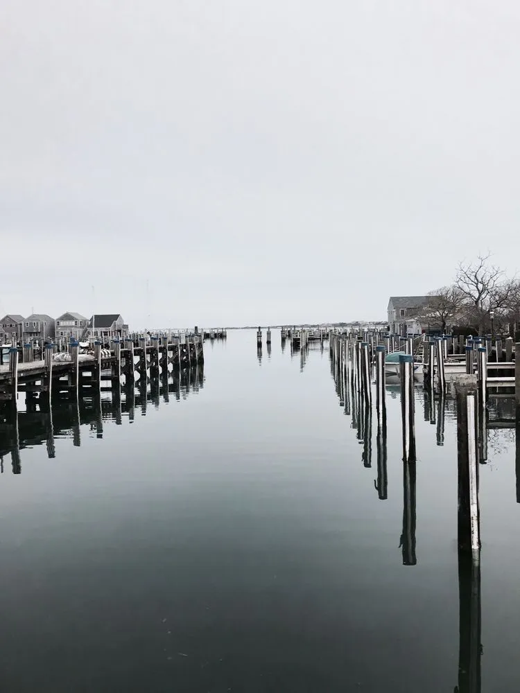 Top-rated yard cleanup service in Nantucket, MA by Twin Bedrock Enterprises