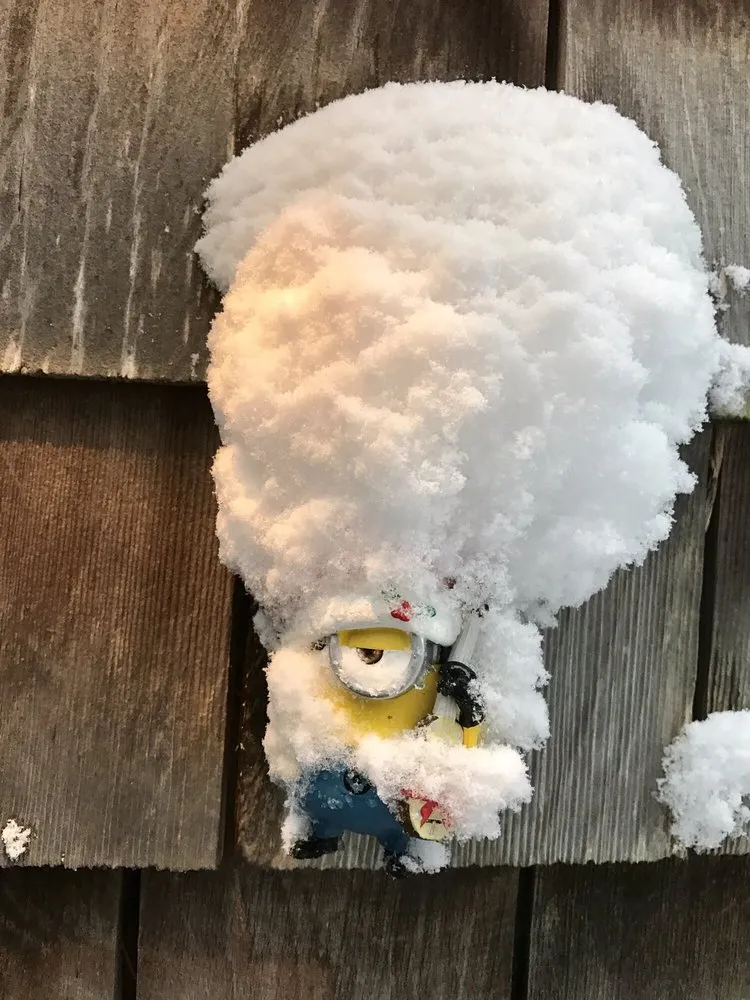 Reliable landscape installation in Nantucket, MA by Twin Bedrock Enterprises