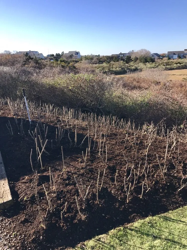 Local lawn care service for year-round maintenance in Nantucket, MA by Twin Bedrock Enterprises