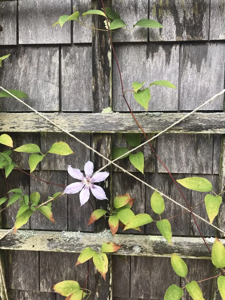 Professional landscape installation experts serving Nantucket, MA - Twin Bedrock Enterprises