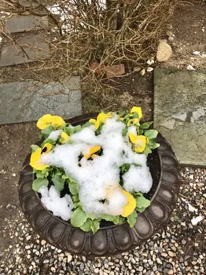 Twin Bedrock Enterprises Logo