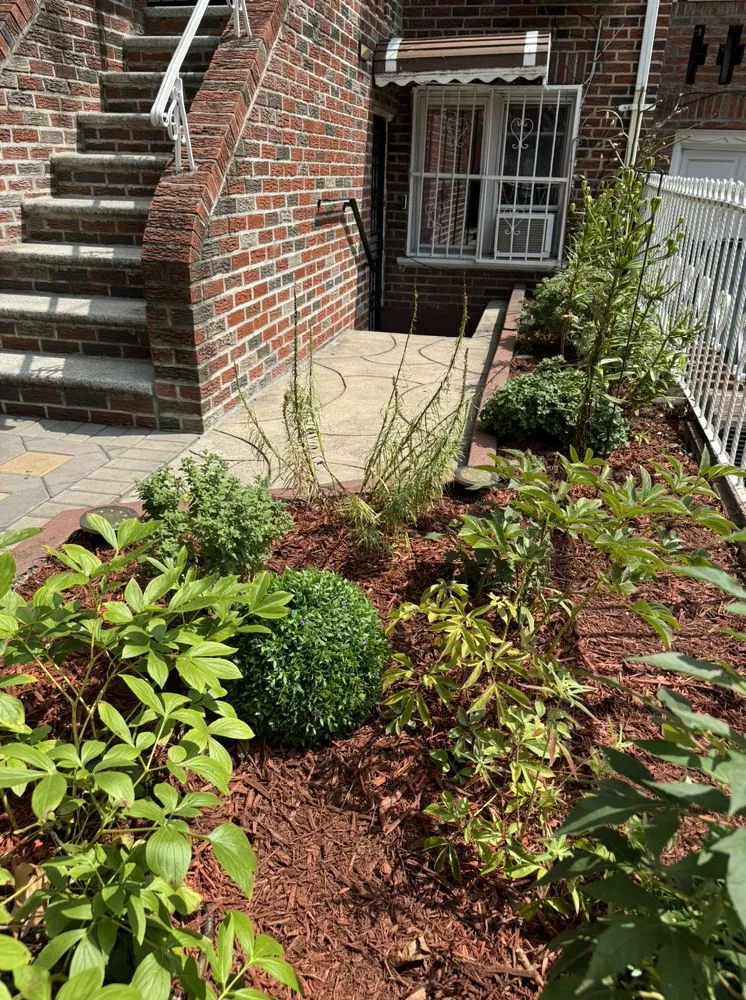 Top-rated landscape installation in Brooklyn, NY - Twin Blades