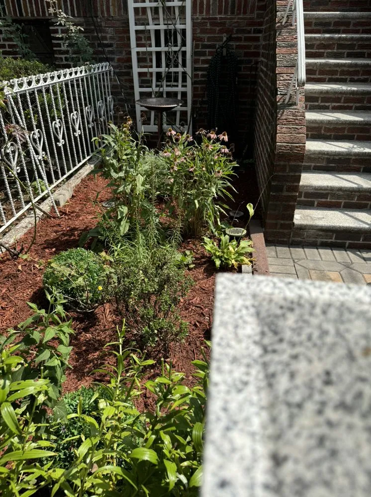 Local yard cleanup service for homes across Brooklyn, NY - Twin Blades