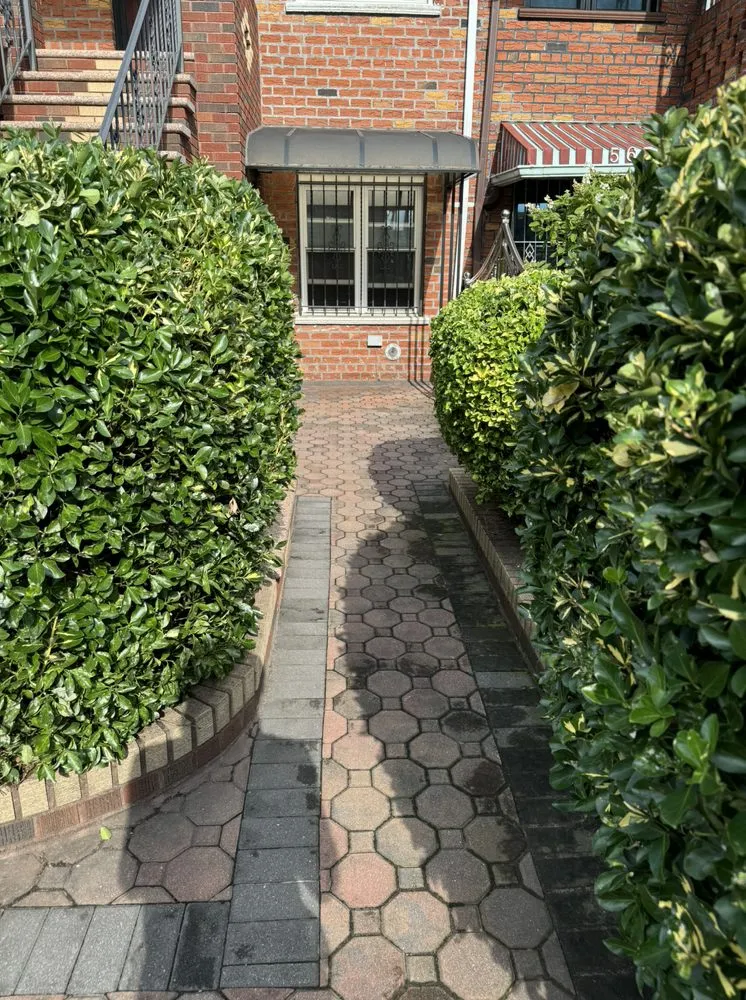 Affordable landscape installation in Brooklyn, NY by Twin Blades