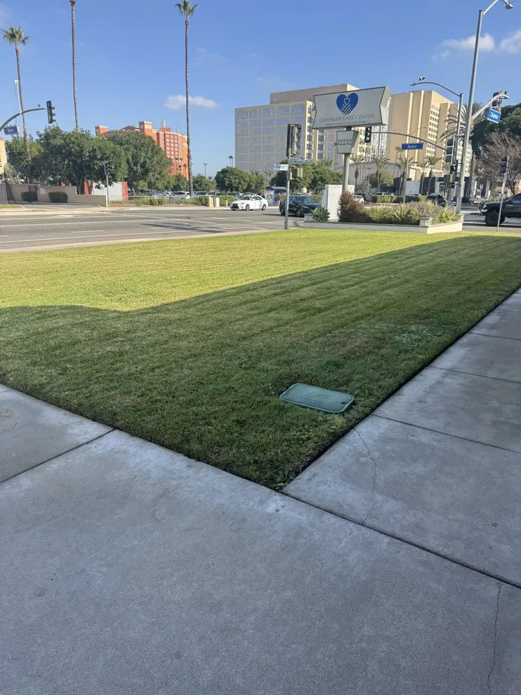 Local landscape design for beautiful yards across Corona, CA - Twin Blades Lawn Care