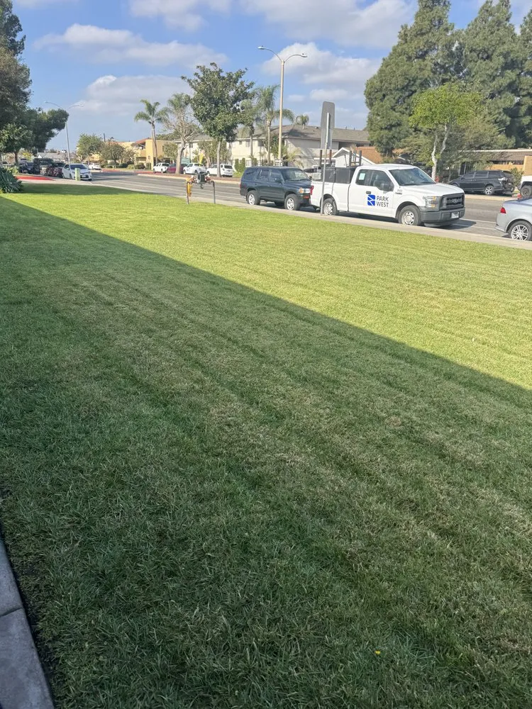 Local residential landscaping for homes in Corona, CA by Twin Blades Lawn Care