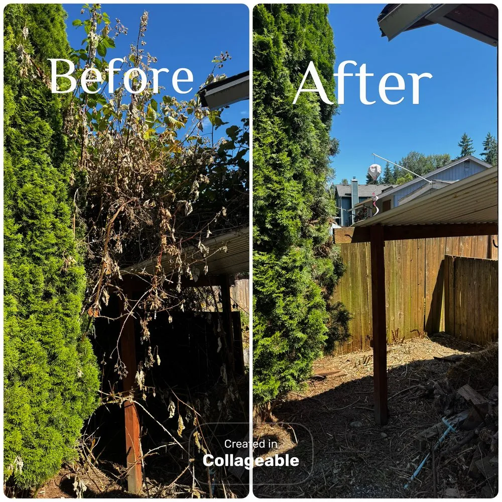 Affordable lawn care service for homes in Bonney Lake, WA by Twin Bladez