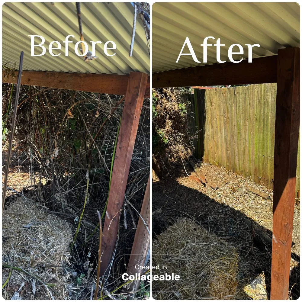 Affordable lawn mowing service in Bonney Lake, WA - Twin Bladez