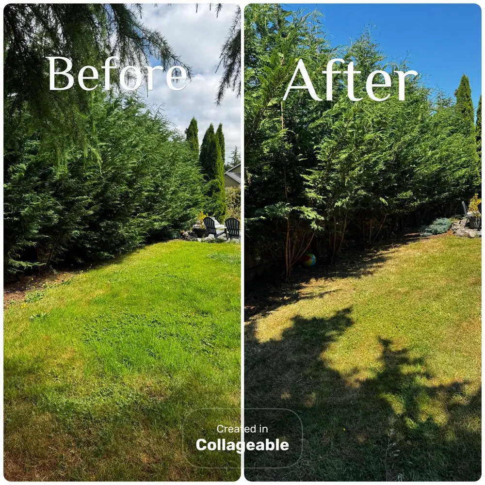 Top-rated landscape installation with custom design in Bonney Lake, WA by Twin Bladez