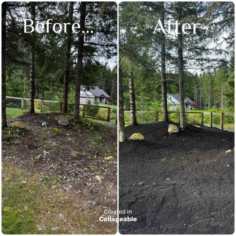 Custom yard cleanup service in Bonney Lake, WA by Twin Bladez