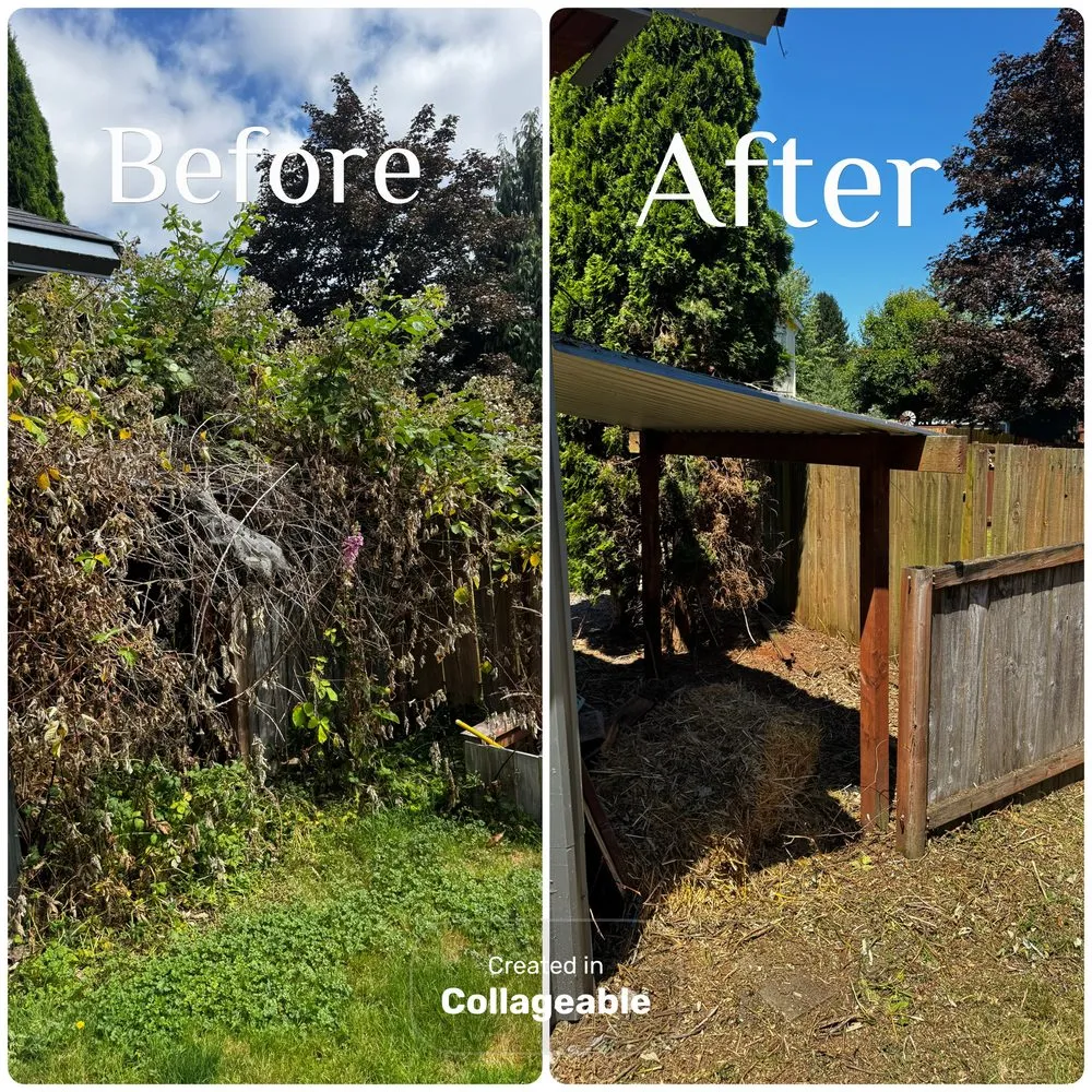 Expert lawn mowing service for homes in Bonney Lake, WA by Twin Bladez