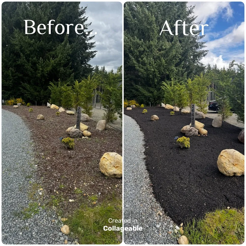 Expert landscaping services in Bonney Lake, WA by Twin Bladez