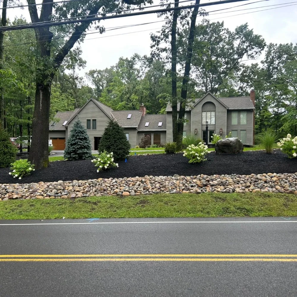 Local yard cleanup service for residential properties in Greer, SC by Twin Brothers