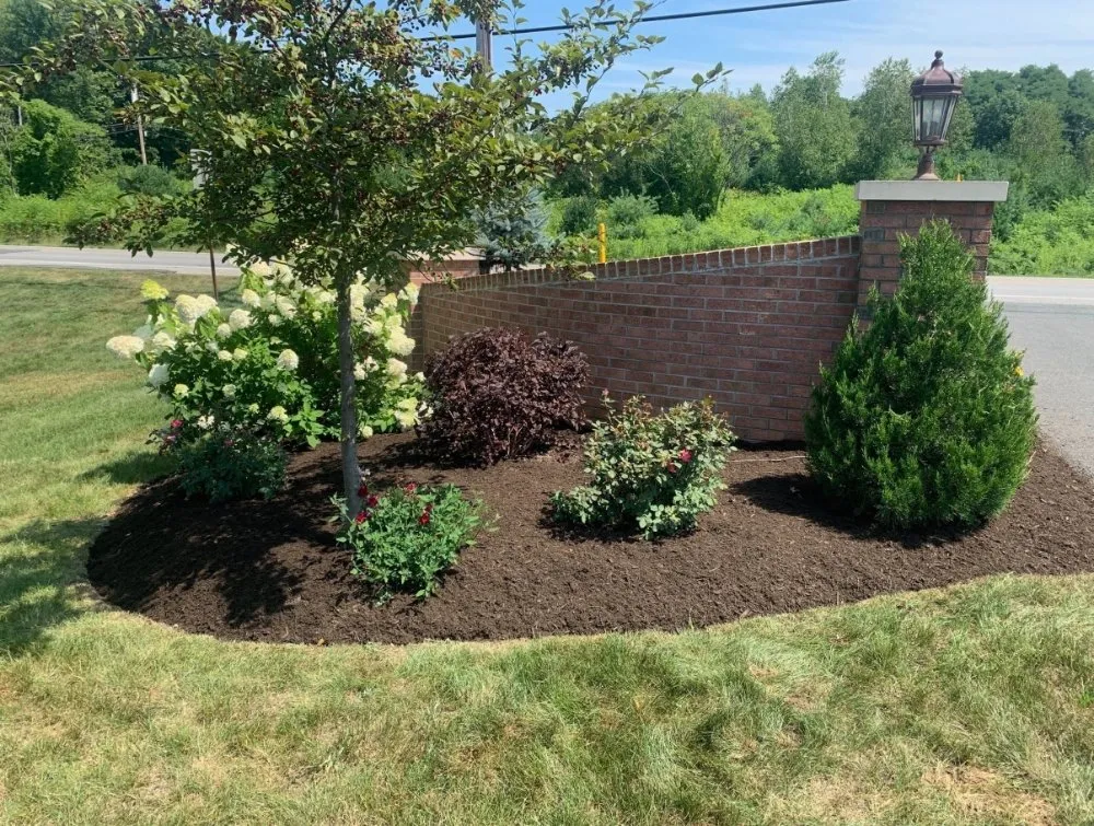 Custom yard cleanup service for homes across Greer, SC - Twin Brothers