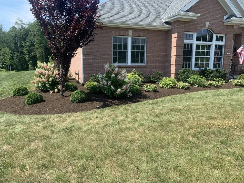 Affordable yard cleanup service with custom design in Greer, SC by Twin Brothers