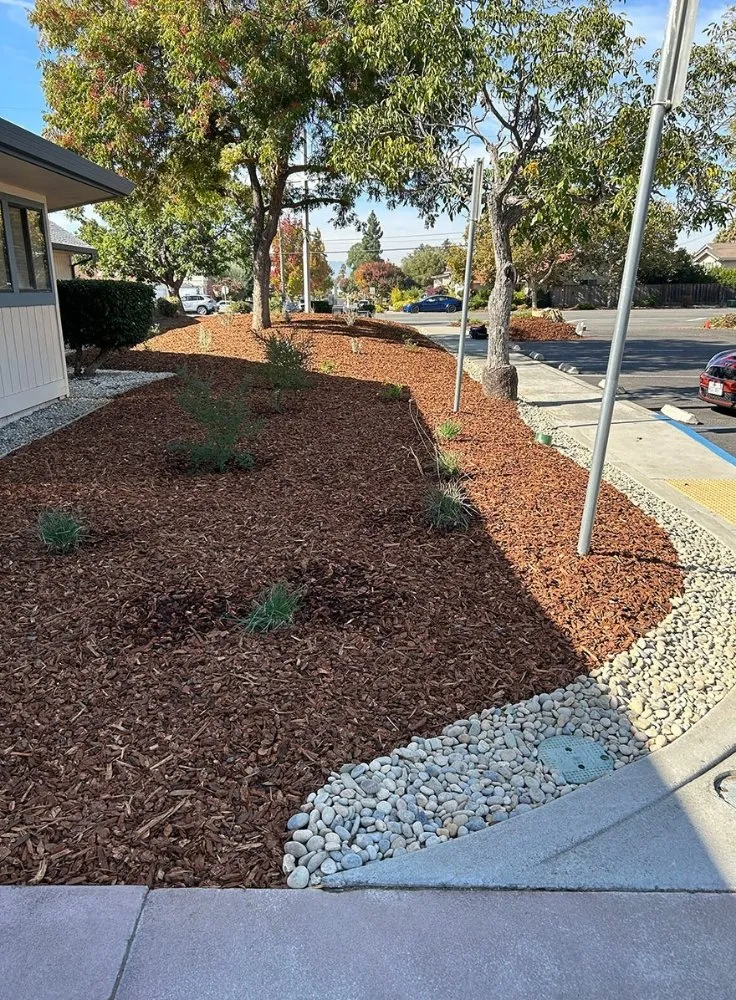 Professional residential landscaping for residential properties across Greer, SC - Twin Brothers