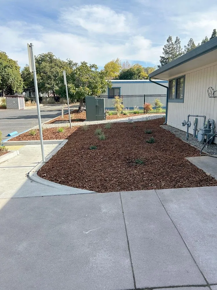 Expert yard cleanup service for homes across Greer, SC - Twin Brothers