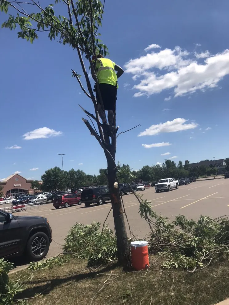 Reliable landscape design experts serving Minneapolis, MN - Twin Cities Finishing