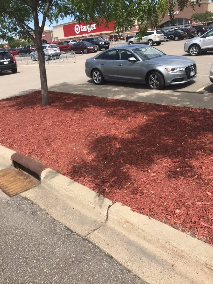 Top-rated landscape installation in Minneapolis, MN - Twin Cities Finishing