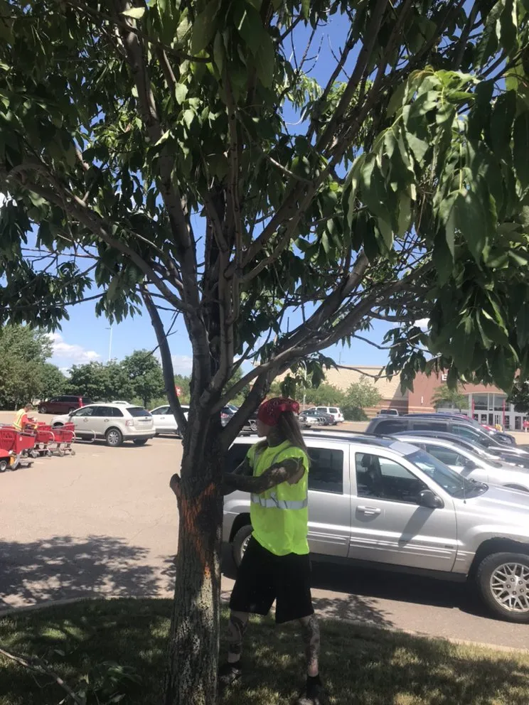 Trusted lawn mowing service experts serving Minneapolis, MN - Twin Cities Finishing