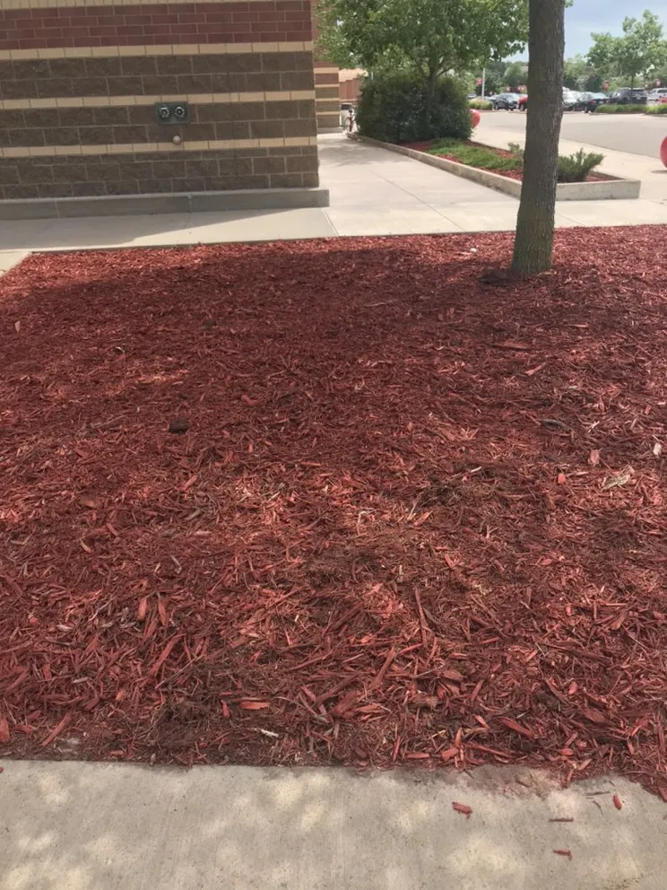 Professional lawn mowing service in Minneapolis, MN by Twin Cities Finishing