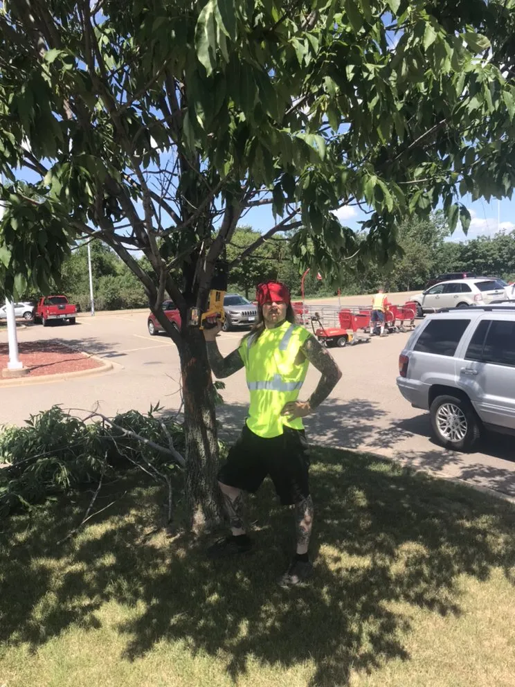 Top-rated landscape installation for year-round maintenance in Minneapolis, MN by Twin Cities Finishing