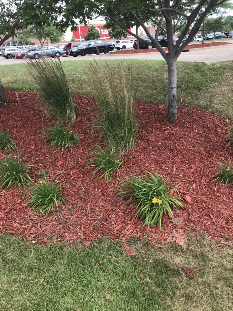 Top-rated lawn care service for beautiful yards in Minneapolis, MN by Twin Cities Finishing