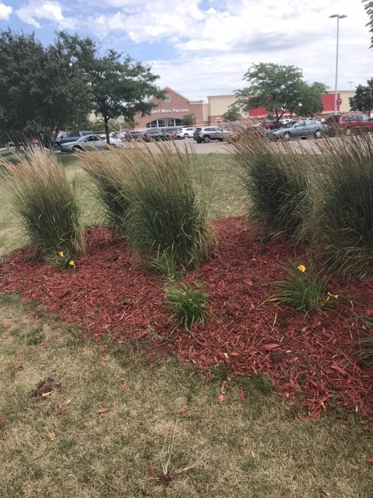 Reliable landscape design near you across Minneapolis, MN - Twin Cities Finishing